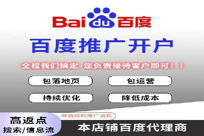 SEM代理服务：助力企业精准营销案例解析
